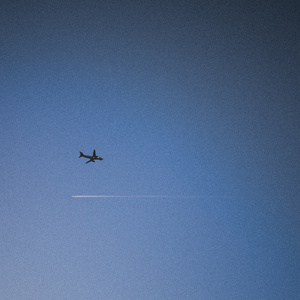 董卿被黑人囗交15分钟
